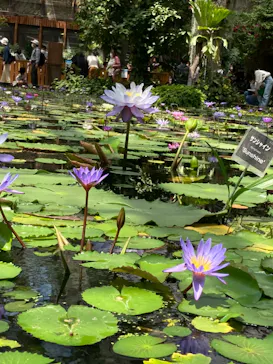 神戸どうぶつ王国に投稿された画像（2022/5/11）
