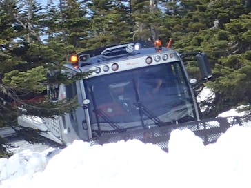 横手山・渋峠スキー場に投稿された画像（2022/5/11）