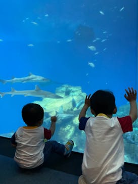 アクアワールド茨城県大洗水族館に投稿された画像（2022/5/11）