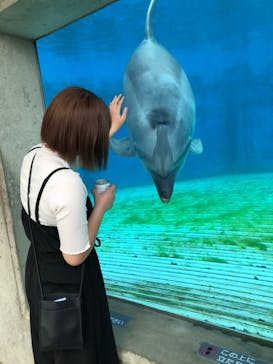 越前松島水族館に投稿された画像（2022/5/11）