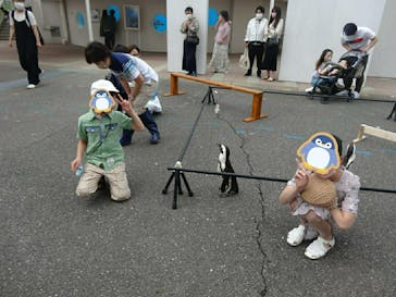 マリンワールド海の中道に投稿された画像（2022/5/11）
