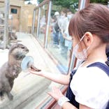 横浜・八景島シーパラダイスに投稿された画像（2022/5/11）