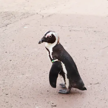横浜・八景島シーパラダイスに投稿された画像（2022/5/11）