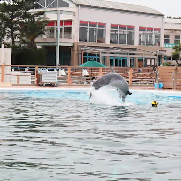 横浜・八景島シーパラダイスに投稿された画像（2022/5/11）