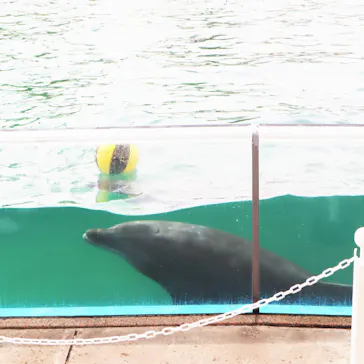 横浜・八景島シーパラダイスに投稿された画像（2022/5/11）