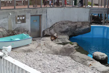 横浜・八景島シーパラダイスに投稿された画像（2022/5/11）