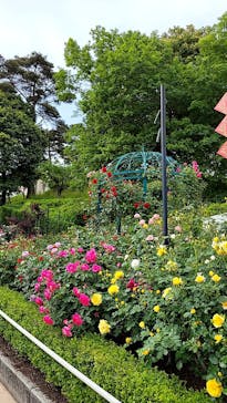 西武園ゆうえんちに投稿された画像（2022/5/11）