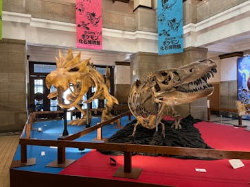 国立科学博物館　特別企画展「ポケモン化石博物館」に投稿された画像（2022/5/11）