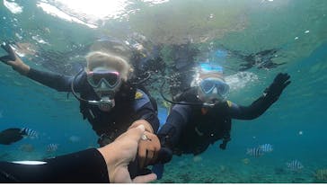 DIVING-SHOP SUNSに投稿された画像（2022/5/11）