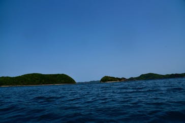 対馬エコツアーに投稿された画像（2022/4/29）