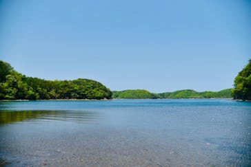 対馬エコツアーに投稿された画像（2022/4/29）