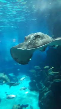 マリンワールド海の中道に投稿された画像（2022/5/11）