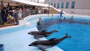 マリンワールド海の中道に投稿された画像（2022/5/11）