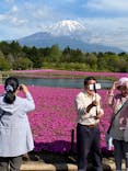 富士芝桜まつり(富士本栖湖リゾート)に投稿された画像（2022/5/12）