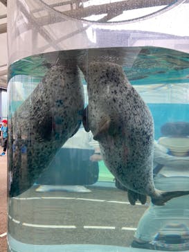 京都水族館に投稿された画像（2022/5/12）