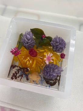 ずこうしつ〜sugamo〜に投稿された画像（2022/5/12）