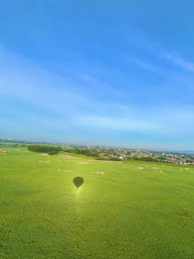 ウイニングバルーンクラブに投稿された画像（2022/5/12）