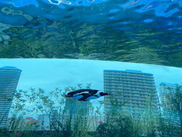 サンシャイン水族館に投稿された画像（2022/5/12）