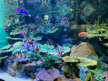 サンシャイン水族館に投稿された画像（2022/5/12）