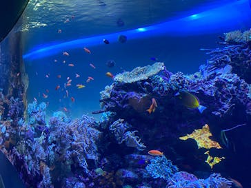 サンシャイン水族館に投稿された画像（2022/5/12）