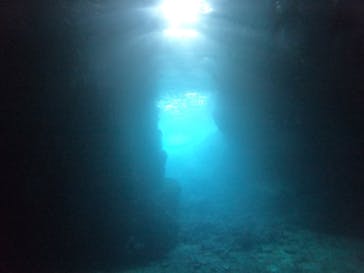 武藤潜水に投稿された画像（2022/5/12）