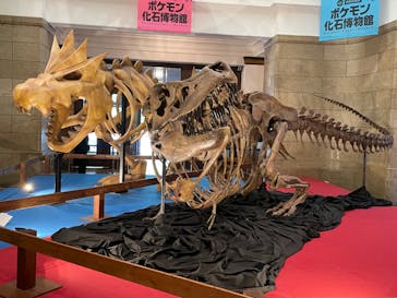 国立科学博物館　特別企画展「ポケモン化石博物館」に投稿された画像（2022/5/12）