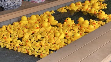 空庭温泉 OSAKA BAY TOWER（オオサカベイタワー）に投稿された画像（2022/5/12）