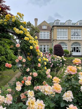 鳩山会館に投稿された画像（2022/5/12）