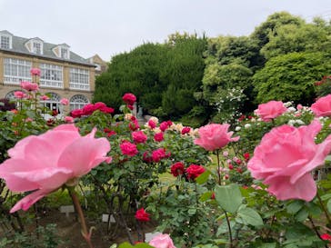 鳩山会館に投稿された画像（2022/5/12）