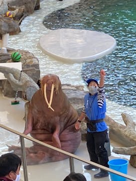 城崎マリンワールドに投稿された画像（2022/5/12）