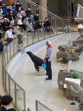 城崎マリンワールドに投稿された画像（2022/5/12）