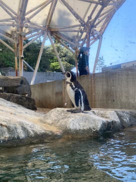 城崎マリンワールドに投稿された画像（2022/5/12）