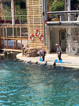 城崎マリンワールドに投稿された画像（2022/5/12）