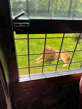 那須サファリパークに投稿された画像（2022/5/12）