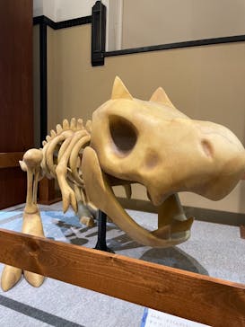 国立科学博物館　特別企画展「ポケモン化石博物館」に投稿された画像（2022/5/12）