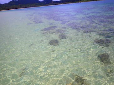 石垣島 ADVENTURE PiPi（イシガキジマアドベンチャーピピ）に投稿された画像（2022/5/12）