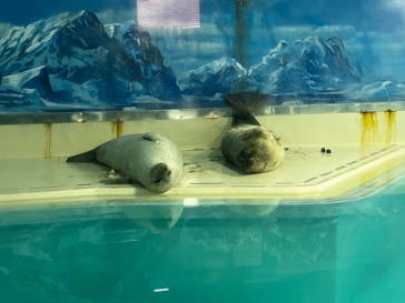 下田海中水族館に投稿された画像（2022/5/12）