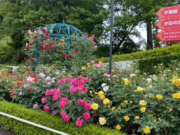 西武園ゆうえんちに投稿された画像（2022/5/12）