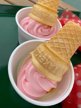 西武園ゆうえんちに投稿された画像（2022/5/12）