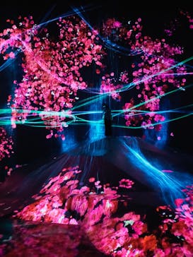 森ビル デジタルアート ミュージアム：エプソン チームラボボーダレスに投稿された画像（2022/5/12）