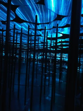 森ビル デジタルアート ミュージアム：エプソン チームラボボーダレスに投稿された画像（2022/5/12）