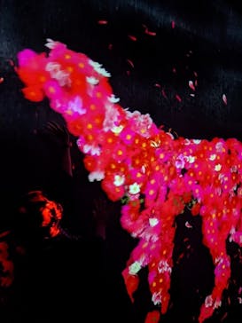 森ビル デジタルアート ミュージアム：エプソン チームラボボーダレスに投稿された画像（2022/5/13）