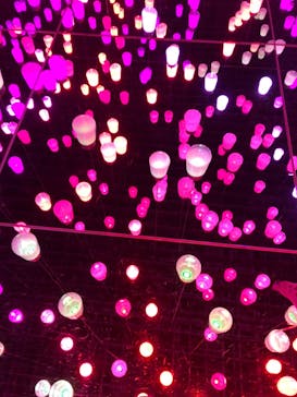 森ビル デジタルアート ミュージアム：エプソン チームラボボーダレスに投稿された画像（2022/5/13）