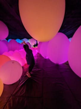 森ビル デジタルアート ミュージアム：エプソン チームラボボーダレスに投稿された画像（2022/5/13）