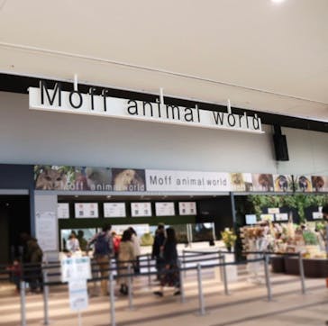 Moff animal world MARK IS みなとみらい店に投稿された画像（2022/5/12）