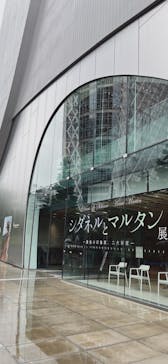 シダネルとマルタン展（SOMPO美術館）に投稿された画像（2022/5/13）