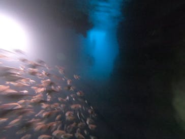 DIVING-SHOP SUNSに投稿された画像（2022/5/13）