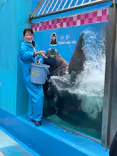 ゼロ距離水族館 伊勢シーパラダイスに投稿された画像（2022/5/13）