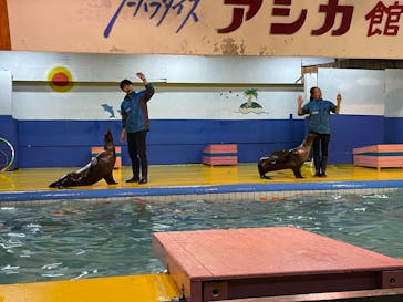 ゼロ距離水族館 伊勢シーパラダイスに投稿された画像（2022/5/13）