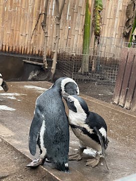 ゼロ距離水族館 伊勢シーパラダイスに投稿された画像（2022/5/13）